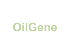 OilGene